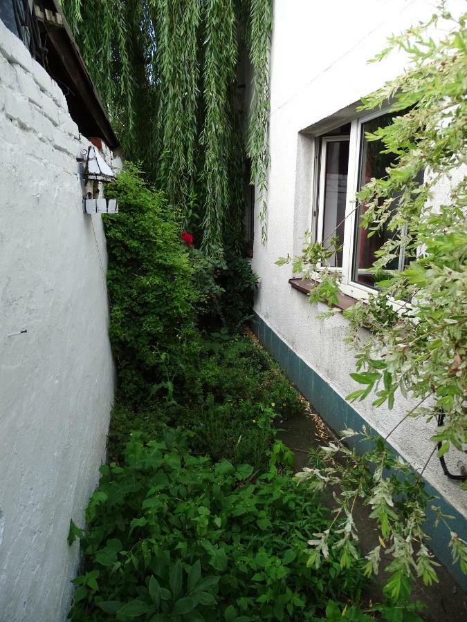 Mur 4 - Apartament z ogródkiem. Stary Toruń Exterior foto